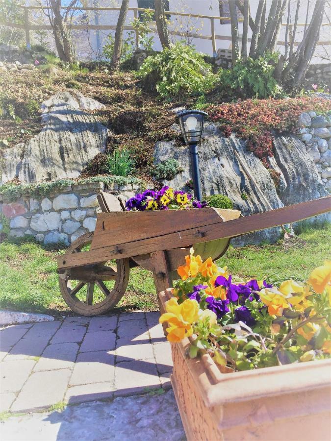 La Casa Nel Bosco Apartment Malcesine Ngoại thất bức ảnh
